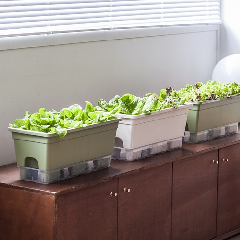 좁은 베란다에서 시작하는 싱싱한 채소 자급자족, 15L 텃밭 화분으로!