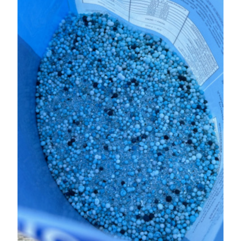 시들시들 힘없는 우리집 식물, 마법처럼 되살리는 비법! 코티지더베르