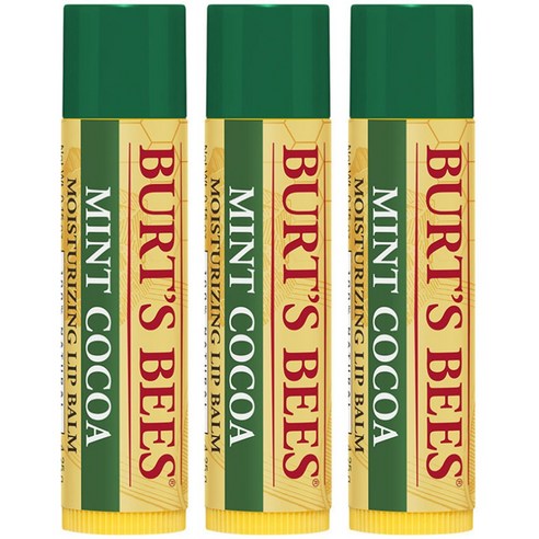 버츠비 모이스처라이징 립 밤, Mint Cocoa, 3개
