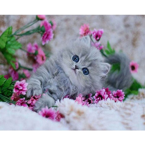 diy 그림 5D 다이아몬드 클래식 망라천하고양이 십자수, 1 건, Ry114 30x40
