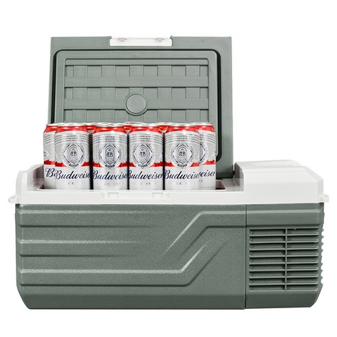 알피쿨 차량용 냉장고 NL, 그린, 15L