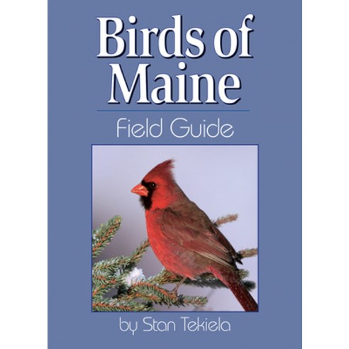 (영문도서) Birds of Maine Field Guide Paperback, Adventure Publications, English, 9781885061461