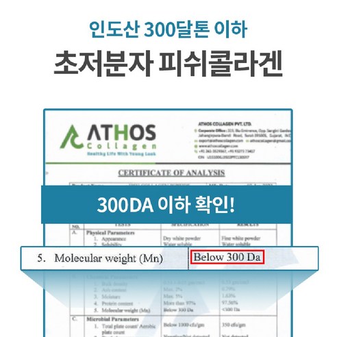 웰핏 소연골 콘드로이친 1200 MBP, 60정, 5개