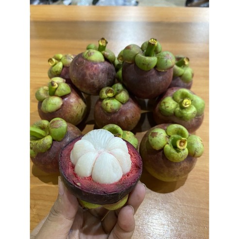 태국 현지 항공 직배송 망고스틴 생과, 4개, 1kg