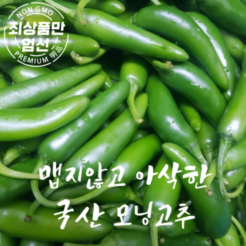 국산 모닝고추 아삭이고추 못난이고추 [한정물량], 1개