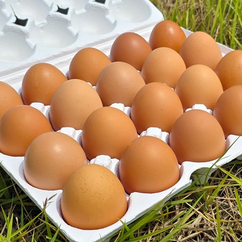 항생제 사용 없이 건강하고 영양가 있는 계란을 즐기세요.