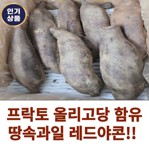 국산) 2023년 땅속과일 강릉야콘 레드야콘 3kg 5kg 프락토올리고당 푸락토 당뇨 꿀맛야콘 붉은야콘 모라도야콘 고구마야콘 레드야콘 보라색야콘 붉은레드야콘, 1박스, 상품5kg