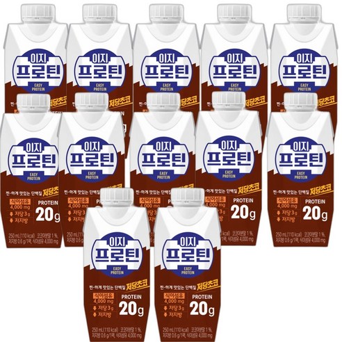 파스퇴르 이지프로틴 우유단백질 저당 초코250ml(12입), 250ml, 12개