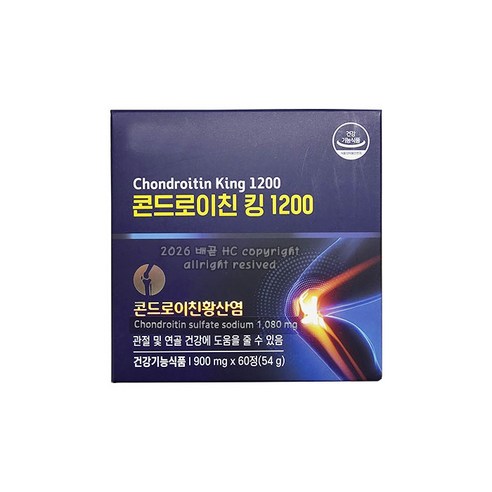 대원제약 콘드로이친 킹 1200