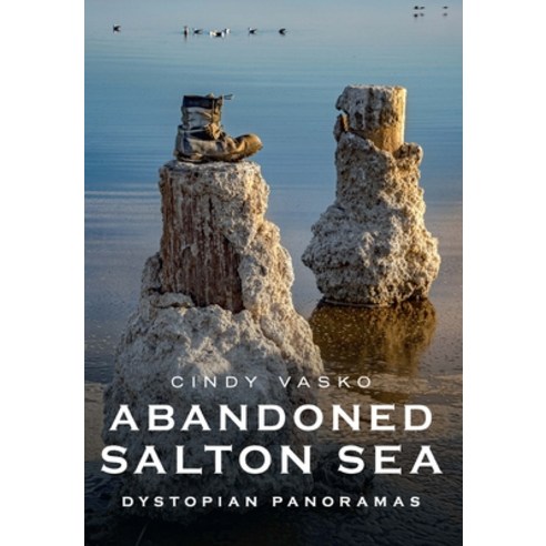 (영문도서) Abandoned Salton Sea: Dystopian Panoramas Paperback, America Through Time, English, 9781634993777