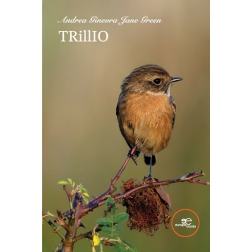 (영문도서) Trillio Paperback, Europa Edizioni Srl, English, 9791220146487