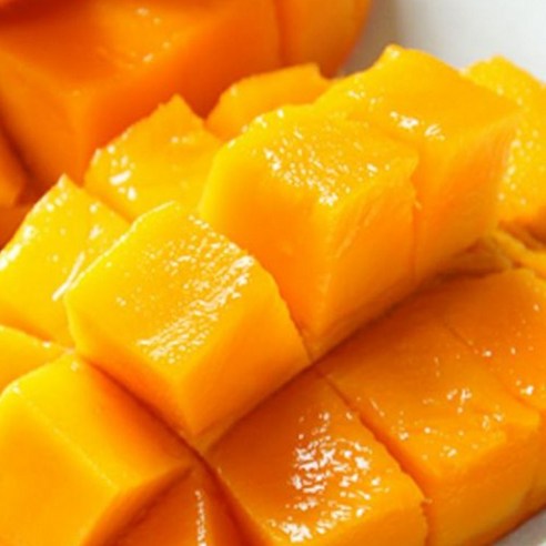 태양을 머금은 달콤한 유혹, 골드 망고로 행복을 맛보세요.