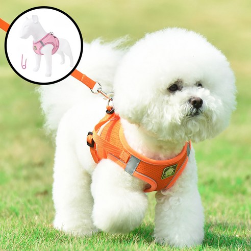 디아쿠아 강아지 고양이 겸용 바디 플러스 하네스+리드줄, 1개, 핑크