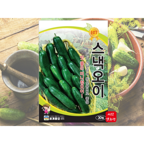 맛있고 좋은 스낵오이씨앗 종자 건강에 좋은 피클 생식에 좋은 오이 여름최고의 간식, 1개