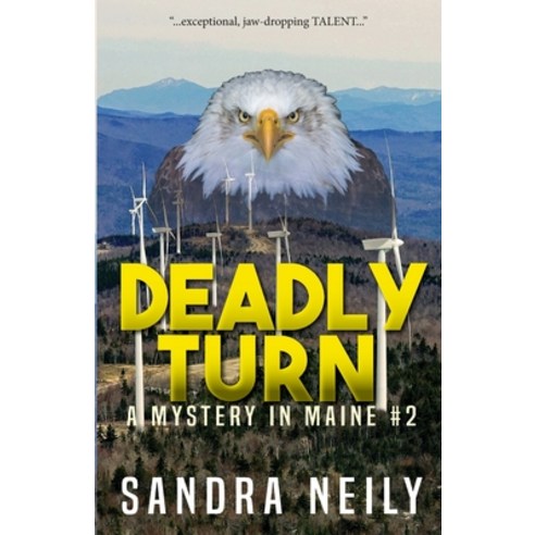 Deadly Turn: A Mystery in Maine Paperback, Piscataqua Press