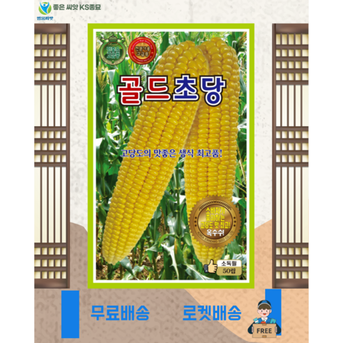 골드초당옥수수 씨앗 (50립) 옥수수 종묘 종자 씨 영웅 KS, 1개