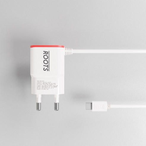 국내산 고속충전의 성공 신화