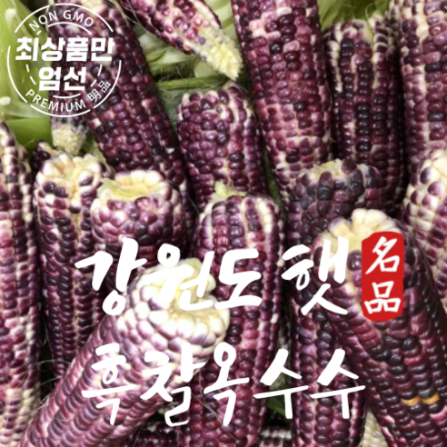 강원도 흑찰옥수수 쫀득한 흑 찰옥수수 10개
