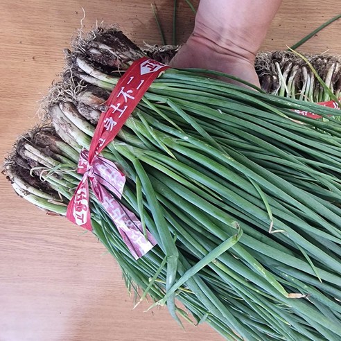 나라수산 포항 흙 쪽파 1단 1kg, 흙쪽파(1단)1kg, 1개