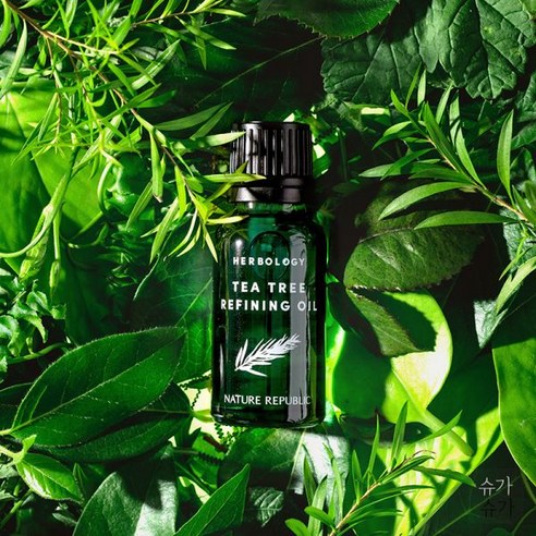 네이처리퍼블릭 허브올로지 티트리 리파이닝 오일(스팟케어) 20ml, 티트리 리파이닝 오일, 1개