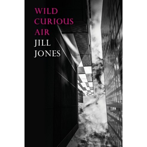 Wild Curious Air Paperback, Recent Work Press