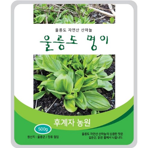 후계자농원 (울릉도 국내산)울릉도 산마늘 명이나물 장아찌 1kg, 울릉도명이, 500g(파우치) 2개, 1개