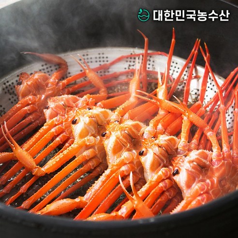 제철 홍게의 맛과 영양을 즐기세요
