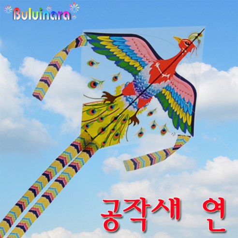 [잇팅나우ㅣ인기상품] 불의 나라 비닐 가오리연과 얼레, 유쾌한 물놀이에 동참하세요! [EatingNOWㅣ추천상품]