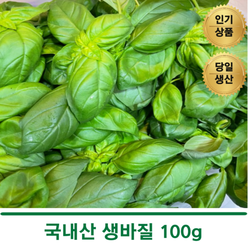 신선한 최상급 생바질 100g 바질잎 스위트바질, 1개