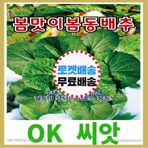 [OK씨앗] [봄맞이봄동] 봄동씨앗(오케이 씨앗), 1개