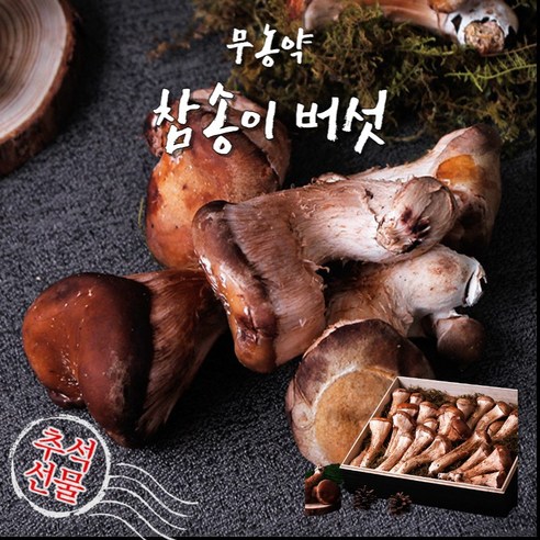 무농약 참송이 버섯 설 선물세트 국내산 프리미엄 참송이 700g 1kg, 무농약 참송이버섯 특품_700g 선물세트