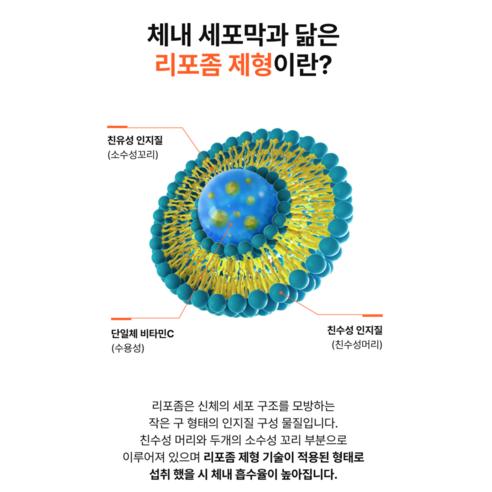 식약처인증 비타민C 500mg 활력환 할인가격