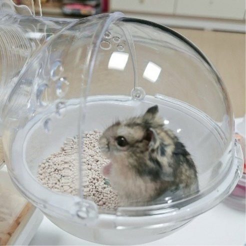 귀여움과 실용성을 겸비한 완벽한 쉼터