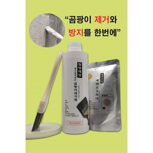  붓으로바르는 청정세상 곰팡이제거제500g(붓포함), 500g, 1개 