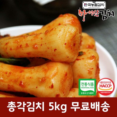 한국농협김치 국산 재료 진안 마이산 총각김치 1kg, 2개