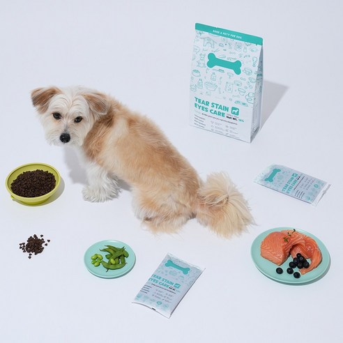 강아지 눈물과 눈 건강을 위한 완벽한 솔루션