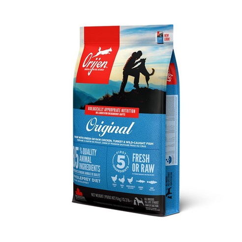 우리 집 댕댕이, 털 윤기 좌르르 흐르는 비결? 솔직 후기 공개! (오리젠 강아지 사료) 오리젠사료