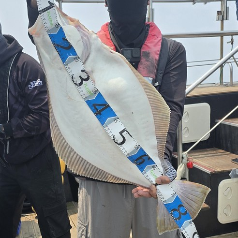 가벼움 속에 숨겨진 강력한 파워, 다재다능한 낚시 경험을 선사합니다