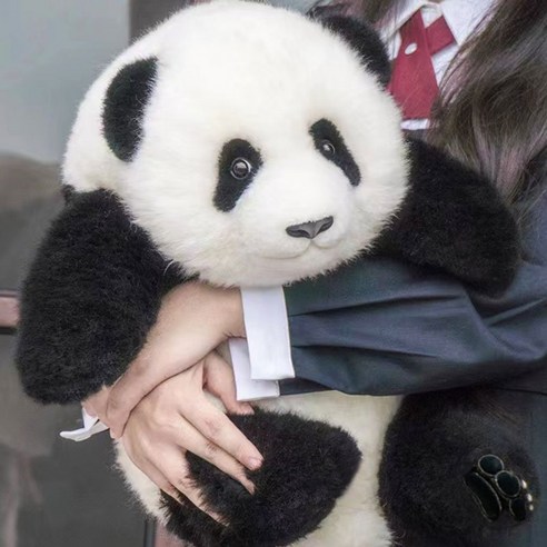 쌍둥이 팬더 루이 인형 (5개월 40cm) 대형 봉제인형 굿즈 에버랜드자유이용권 쌍둥이 팬더 루이 인형 (5개월 40cm) 대형 봉제인형 굿즈 에버랜드자유이용권