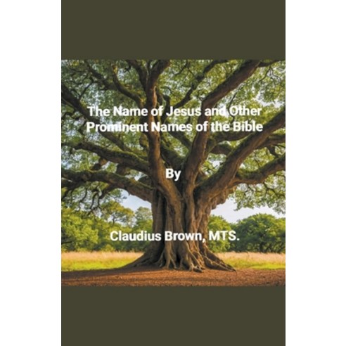 (영문도서) The Name of Jesus and Other Prominent names of the Bible Paperback, Claudius Brown, English, 9798223272083