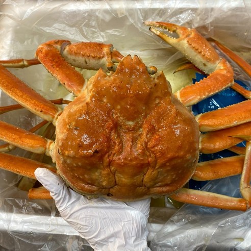 주말 저녁, 온 가족이 웃음꽃 피는 마법! 특A급 러시아 대게 솔직 후기 러시아대게