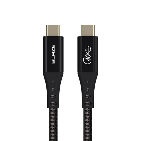 블레이즈 100W USB4.0 CtoC케이블 C타입, 30cm