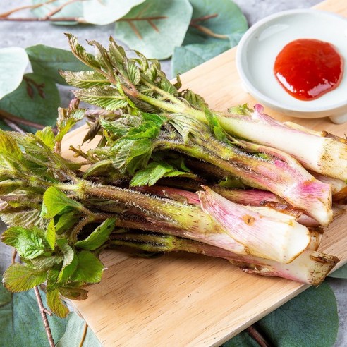 남해 해풍 품은 땅두릅, 봄의 향기를 식탁에!