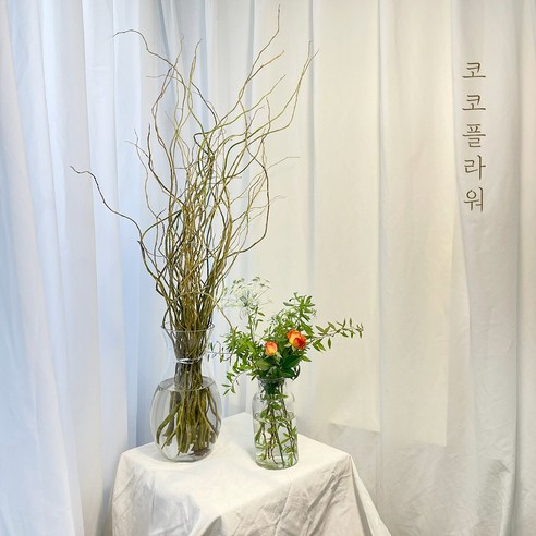 곱슬버들로 공간에 고급스러움과 고혹적인 매력을 더하세요.