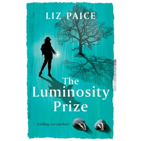 (영문도서) The Luminosity Prize Paperback, Liz Paice, English, 9781739927004