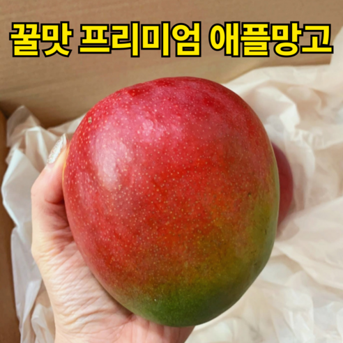 달콤함의 극한! 항공으로 직송된 초고당도 페루 애플망고 4kg 선물용 1박스 대만애플망고 달콤함의 극한! 항공으로 직송된 초고당도 페루 애플망고 4kg 선물용 1박스 대만애플망고