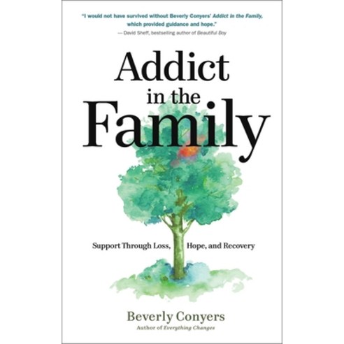 (영문도서) Addict in the Family: Support Through Loss Hope and Recovery Paperback, Hazelden Publishing & Educa..., English, 9781616499556