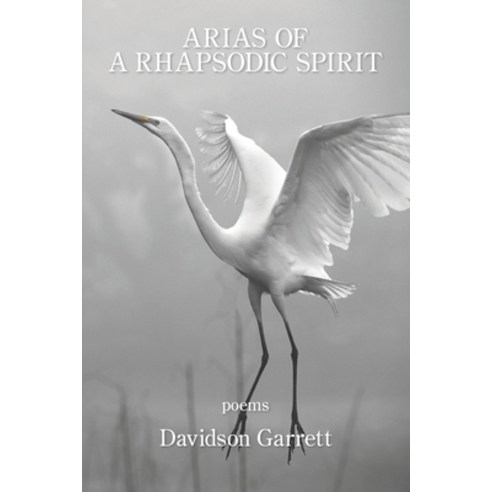 Arias of a Rhapsodic Spirit Paperback, Kelsay Books