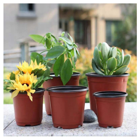 정원을 꿈꾸는 당신에게, 모종 화분 연질 이색포트로 싱그러운 첫걸음을.