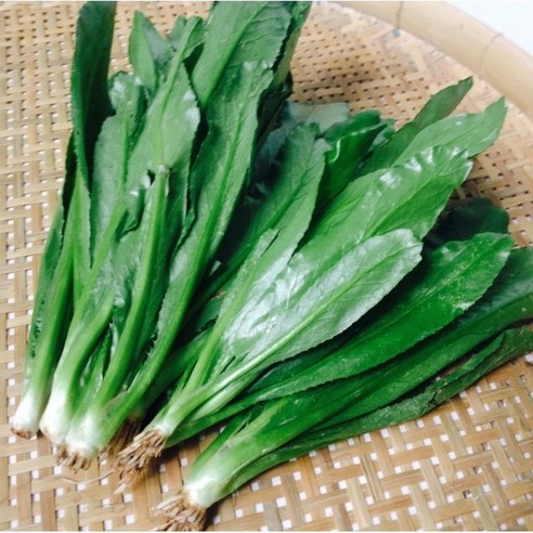 쿨란트로/ngo gai 100g/long coriander/ 아시아 농장 송소희, 1개